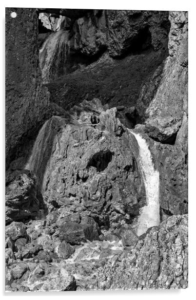 Gordale Scar Waterfall (Mono) Acrylic by Joyce Storey