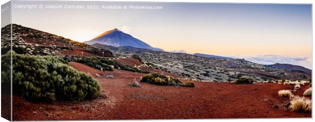 Beautiful panoramic image of the Teide volcano, a sunny day with Canvas Print by Joaquin Corbalan