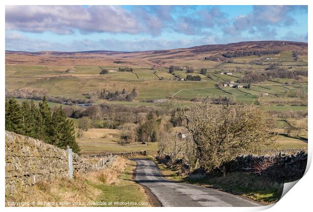 Down from Bail Hill, Mickleton, Teesdale Print by Richard Laidler