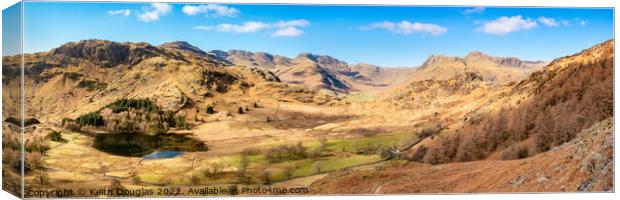 The Langdales - Panorama Canvas Print by Keith Douglas