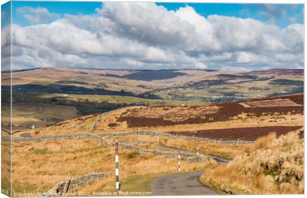 Down from Harker Hill, Teesdale Canvas Print by Richard Laidler