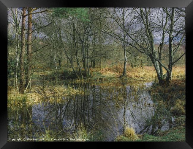 Winter Pond Framed Print by Alan Dunnett