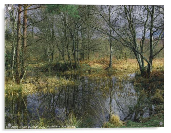 Winter Pond Acrylic by Alan Dunnett