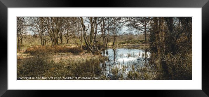 Winter Pond panoramic Framed Mounted Print by Alan Dunnett