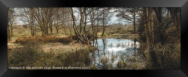 Winter Pond panoramic Framed Print by Alan Dunnett