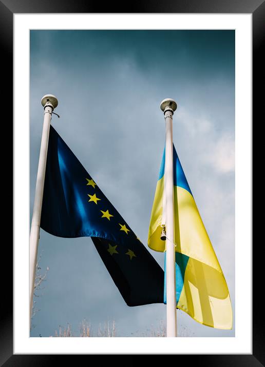 Flags of the European Union and Ukraine flutter in the wind Framed Mounted Print by Alexandre Rotenberg