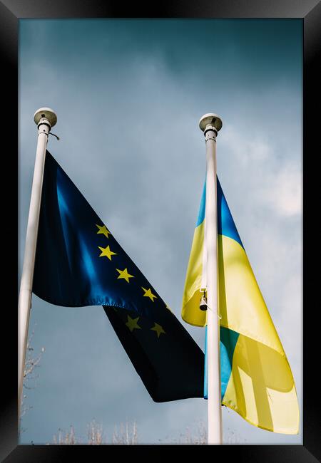 Flags of the European Union and Ukraine flutter in the wind Framed Print by Alexandre Rotenberg