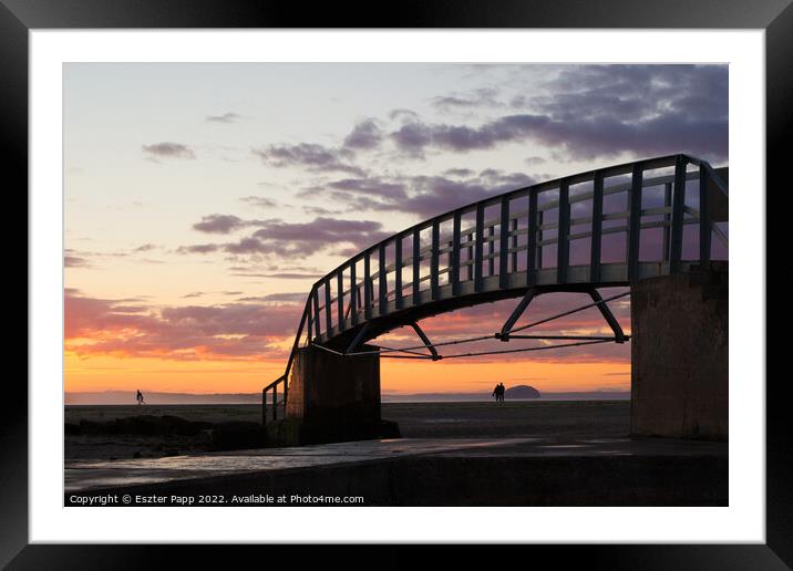 Sunset in Belhaven beach  Framed Mounted Print by Eszter Papp