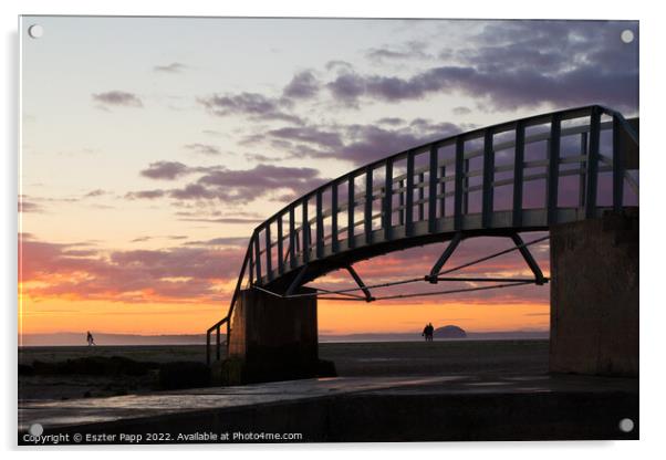 Sunset in Belhaven beach  Acrylic by Eszter Papp