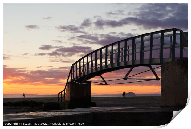 Sunset in Belhaven beach  Print by Eszter Papp