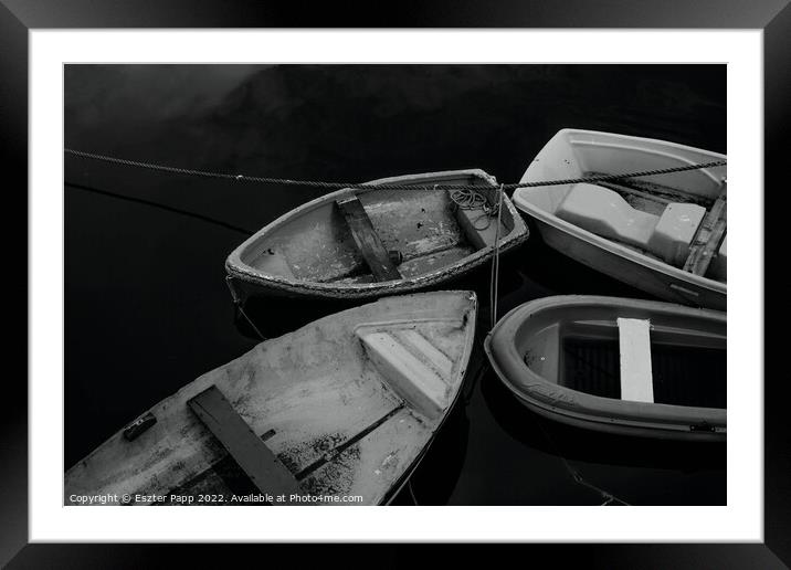 Boats at North Berwick Framed Mounted Print by Eszter Papp
