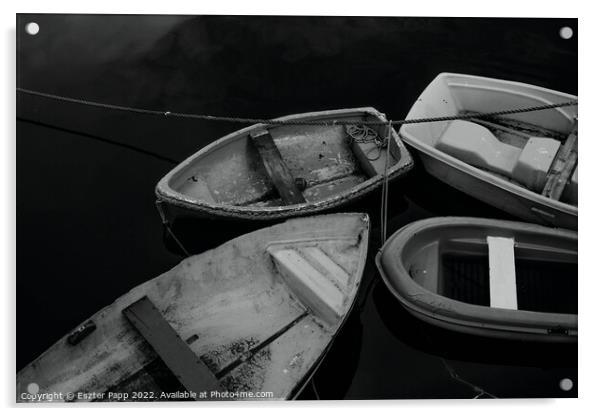 Boats at North Berwick Acrylic by Eszter Papp