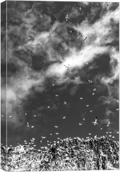 Sky cloud with seagulls II. Canvas Print by Eszter Papp