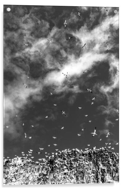 Sky cloud with seagulls II. Acrylic by Eszter Papp
