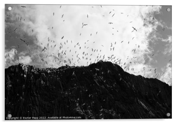 Seagulls over Bass Rock.  Acrylic by Eszter Papp