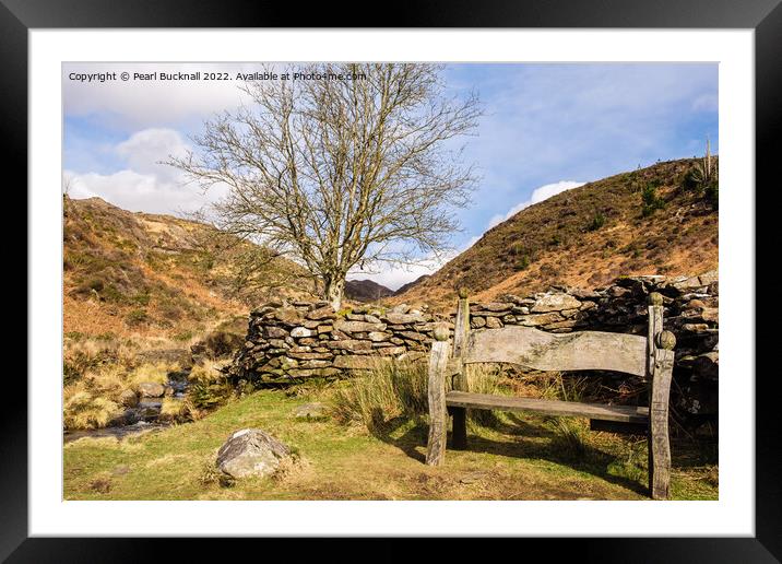 Cwm Bychan Bench Snowdonia Wales Framed Mounted Print by Pearl Bucknall