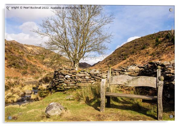 Cwm Bychan Bench Snowdonia Wales Acrylic by Pearl Bucknall
