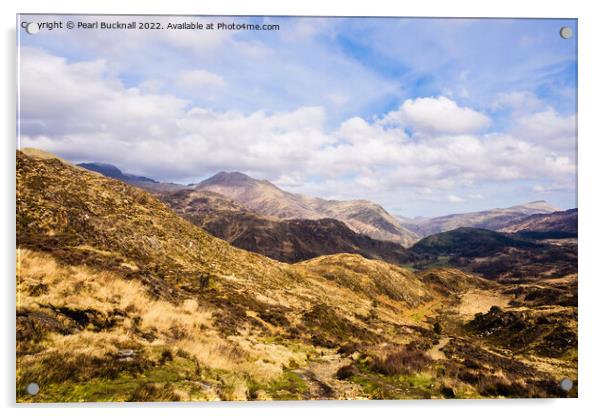 Snowdonia Mountain Landscape Wales Acrylic by Pearl Bucknall
