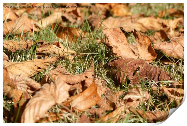 Dead leaves on grass Print by aurélie le moigne