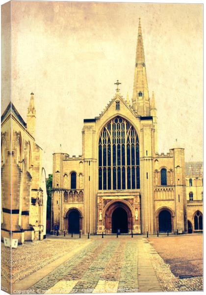 Norwich Cathedral  Canvas Print by Sally Lloyd