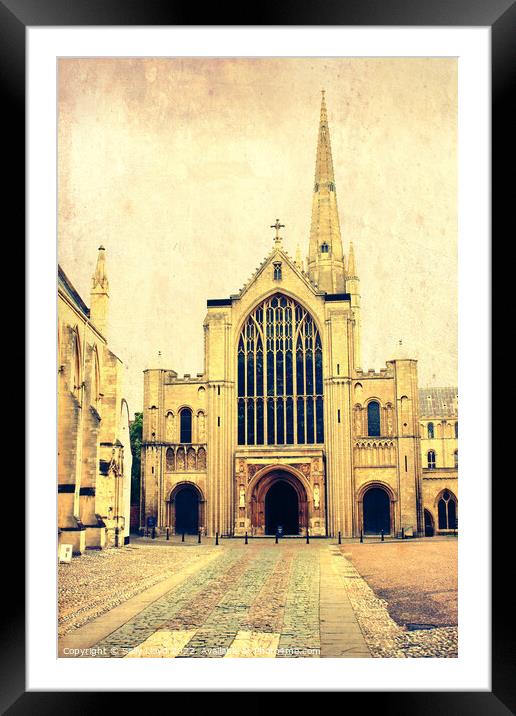 Norwich Cathedral  Framed Mounted Print by Sally Lloyd