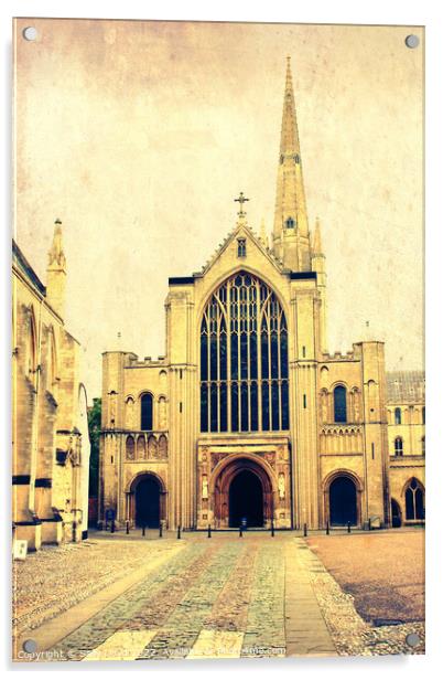 Norwich Cathedral  Acrylic by Sally Lloyd