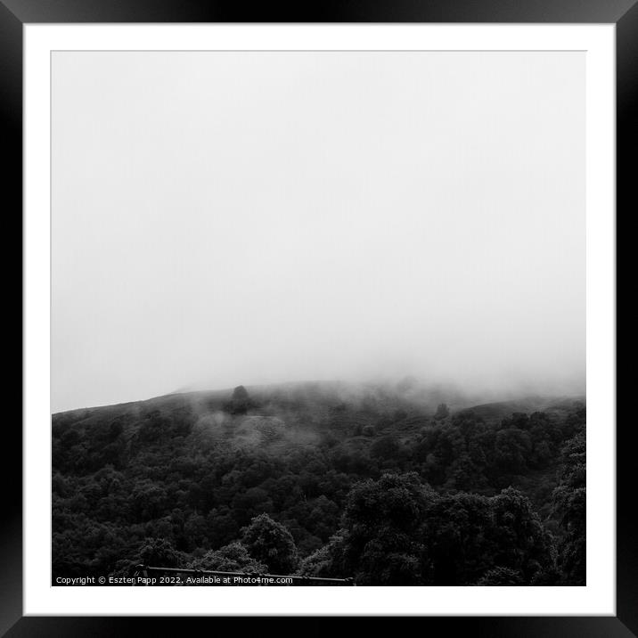 Foggy forest at Loch Ness.  Framed Mounted Print by Eszter Papp