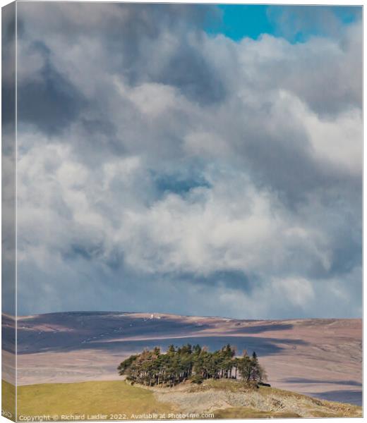 Kirkcarrion, Teesdale Canvas Print by Richard Laidler
