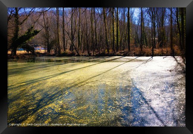 La Moixina wetlands in winter, La Garrotxa - 4 - Framed Print by Jordi Carrio