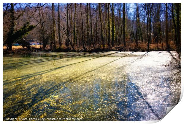 La Moixina wetlands in winter, La Garrotxa - 4 - Print by Jordi Carrio