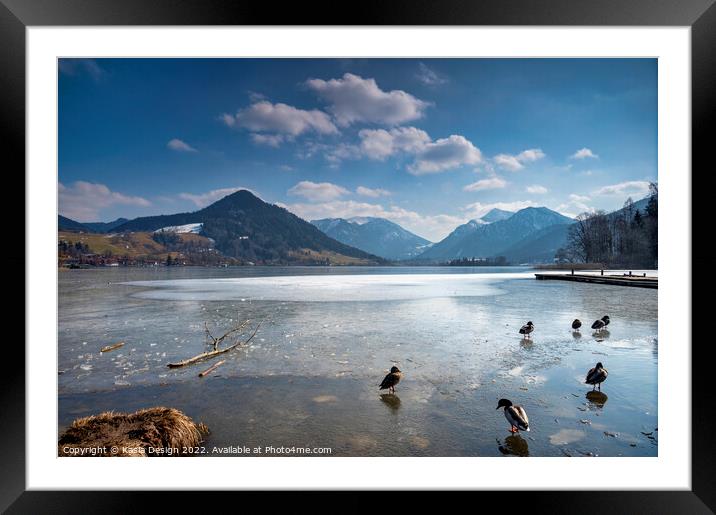 Ducks on Ice, Schliersee, Bavaria, Germany Framed Mounted Print by Kasia Design