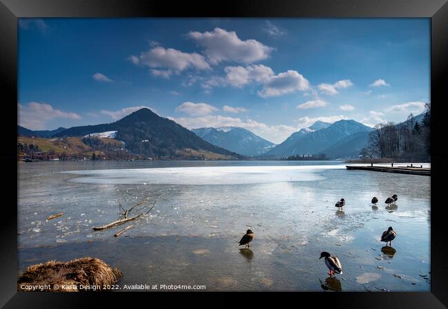 Ducks on Ice, Schliersee, Bavaria, Germany Framed Print by Kasia Design