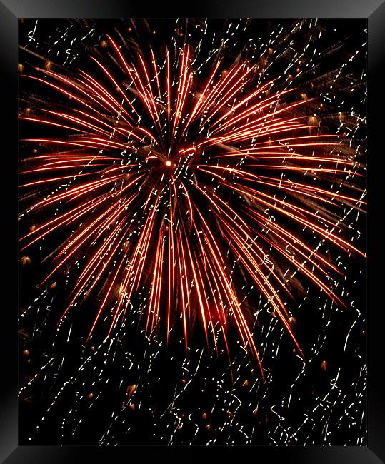 firework (red) Framed Print by Heather Newton