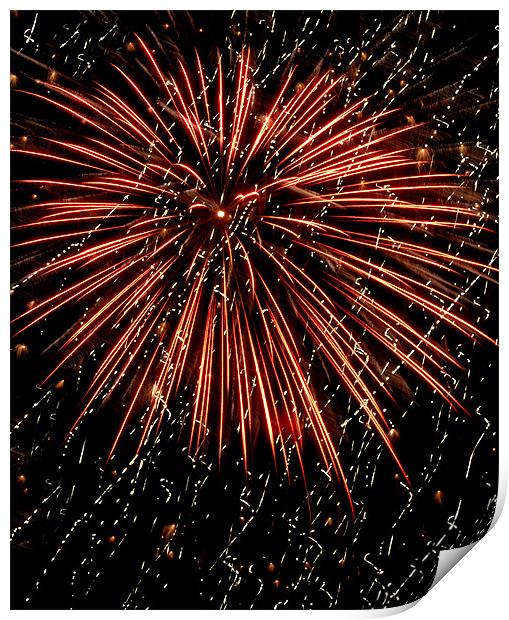 firework (red) Print by Heather Newton