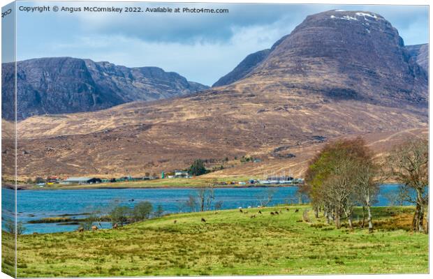 Beinn Bhan and Loch Kishorn, Applecross Peninsula Canvas Print by Angus McComiskey