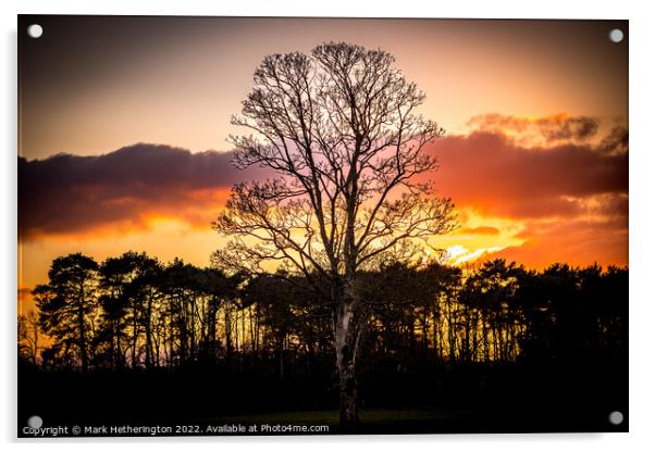 Stunning Sunset Acrylic by Mark Hetherington
