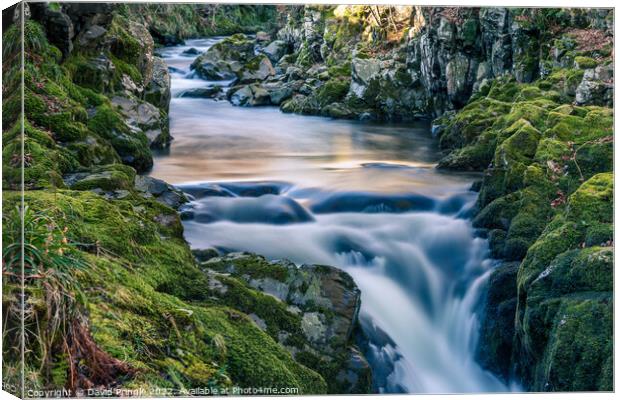 Hethpool Linn Canvas Print by David Pringle