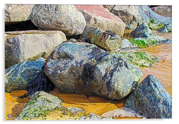 Seaweed Left on Rocks Acrylic by GJS Photography Artist