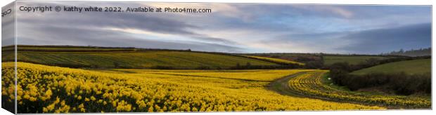 Daffodils fields,Cornwall Canvas Print by kathy white