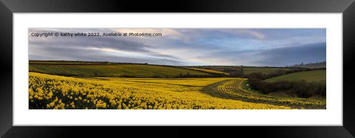 Daffodils fields,Cornwall Framed Mounted Print by kathy white