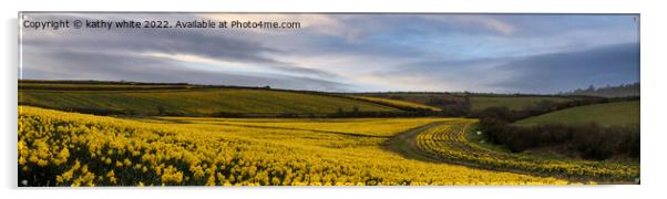 Daffodils fields,Cornwall Acrylic by kathy white