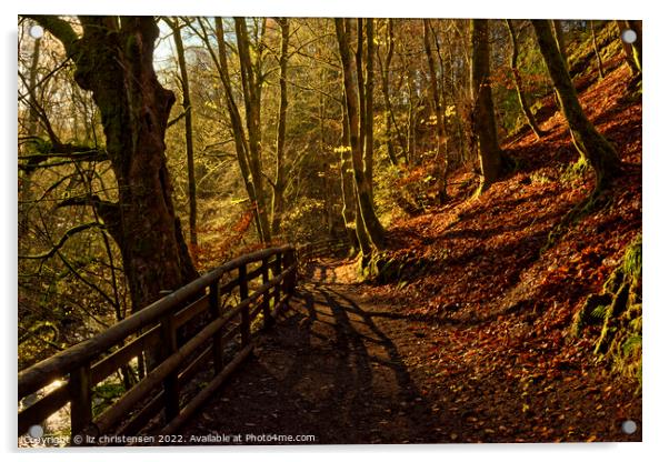 Calder Glen in Autumn Acrylic by liz christensen