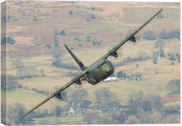 RAF Hercules Canvas Print by Rory Trappe