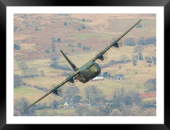 RAF Hercules Framed Mounted Print by Rory Trappe