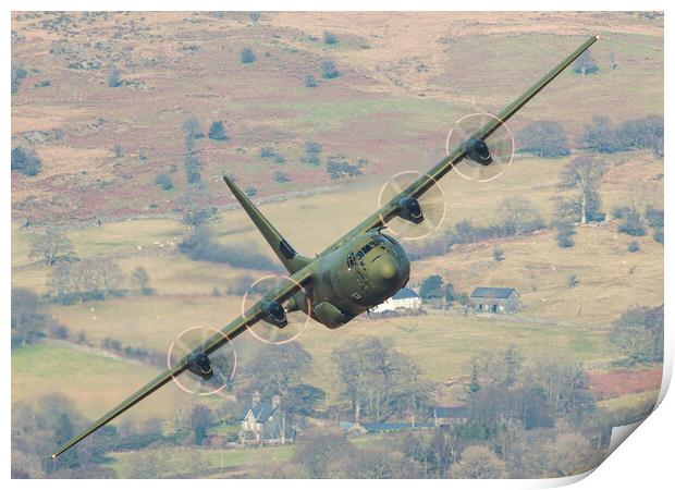 RAF Hercules Print by Rory Trappe