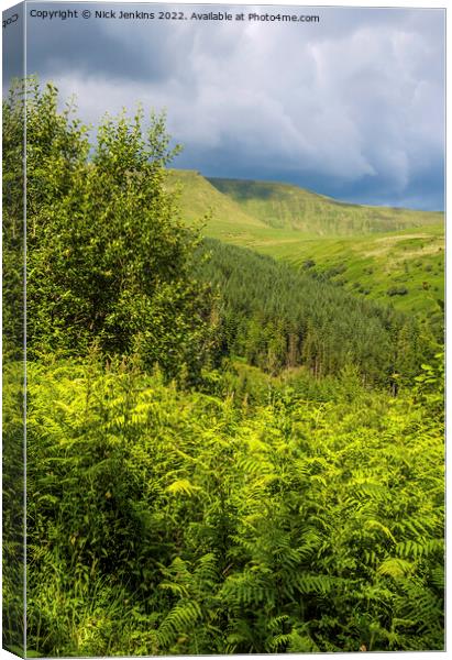 Looking over woodland to Waun Rydd Brecon Beacons Canvas Print by Nick Jenkins