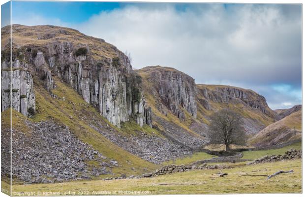 Holwick Scar, Teesdale (2) Canvas Print by Richard Laidler