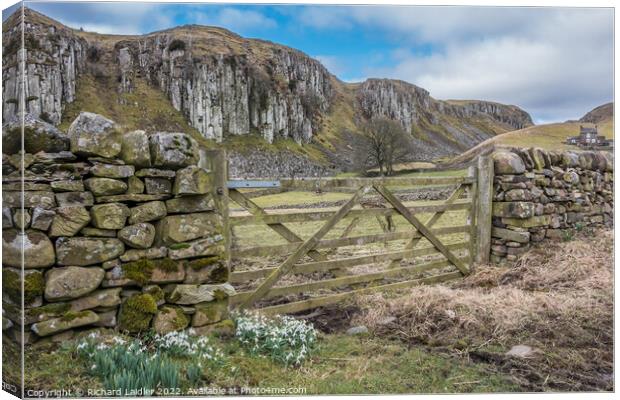 Holwick Scar, Teesdale (1) Canvas Print by Richard Laidler