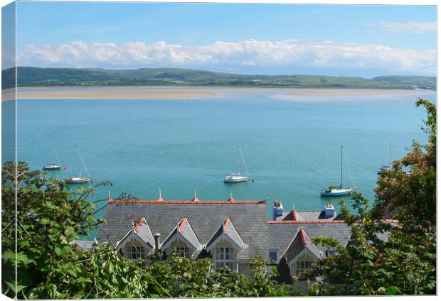 View Across The Dovey Estuary  Canvas Print by Dave Urwin