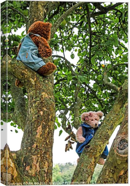 Two Teddy Bears in an Apple Tree Canvas Print by Allan Bell